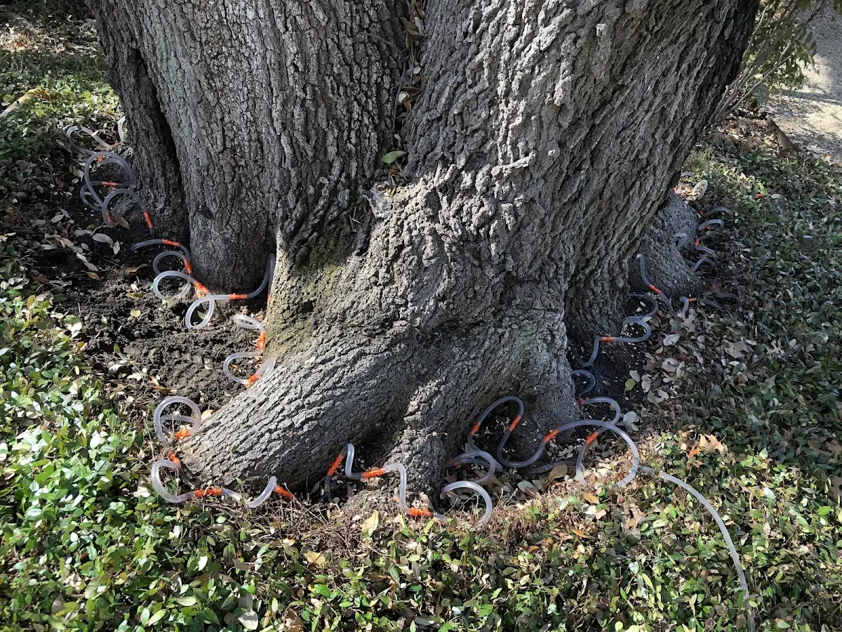 Detailed Shrub and Hedge Trimming job site in Longdale