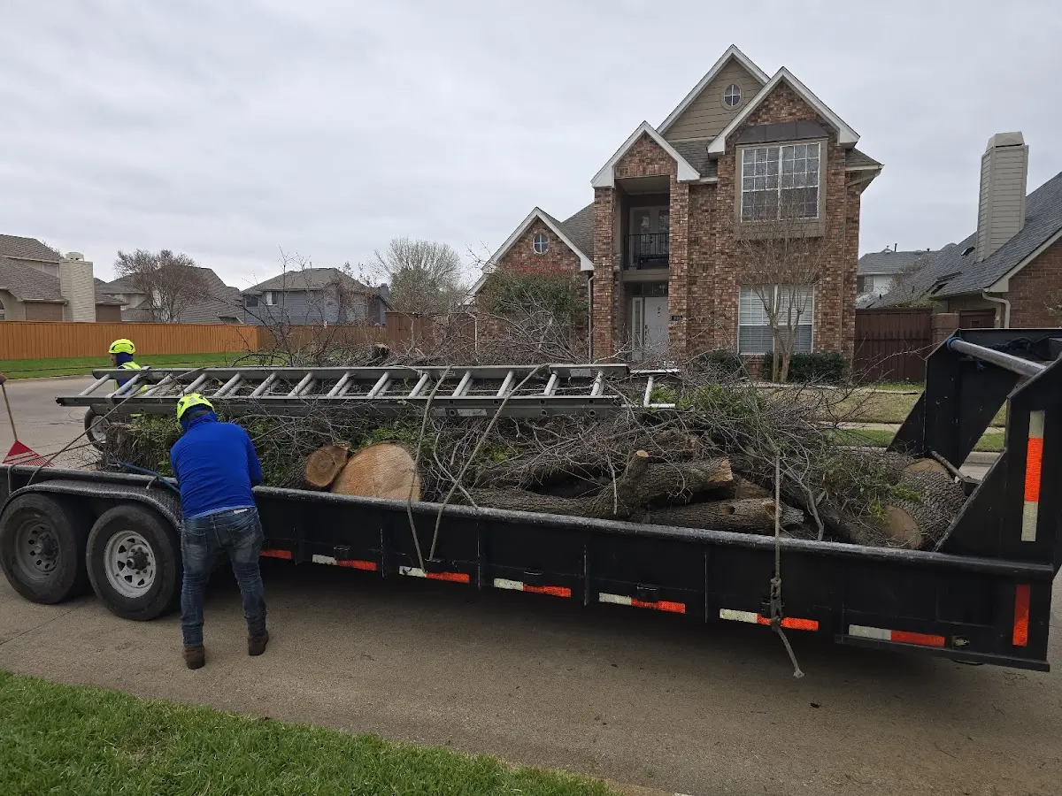 Expert Tree Fertilization with proper safety equipment in Longdale